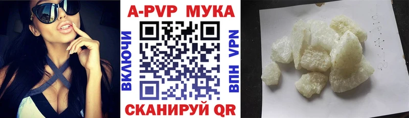 A-PVP СК  Грязовец 