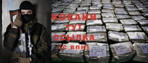 твердый Алексин