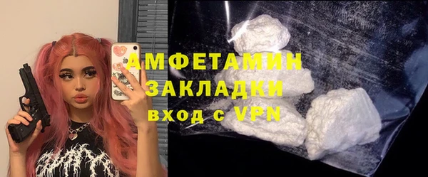 шишки Алзамай