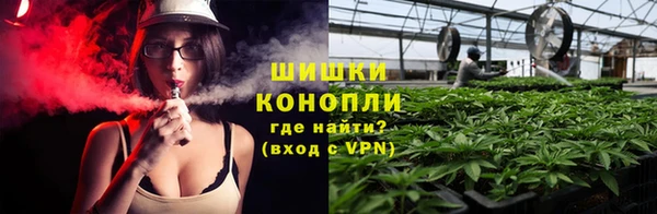 шишки Алзамай