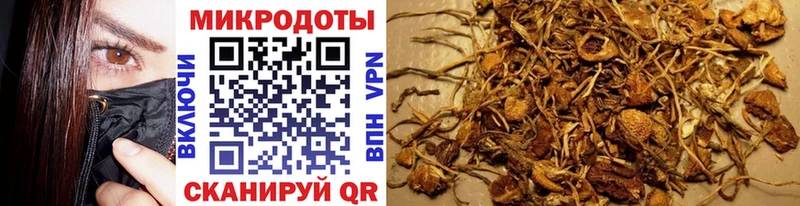 Галлюциногенные грибы GOLDEN TEACHER  мега сайт  Грязовец 