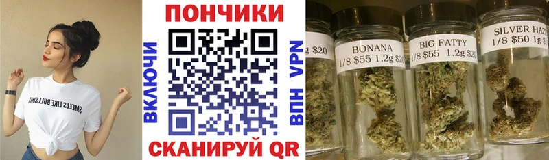 MEGA ONION  Грязовец  Канабис OG Kush 